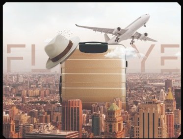 Flybye Packaging Design